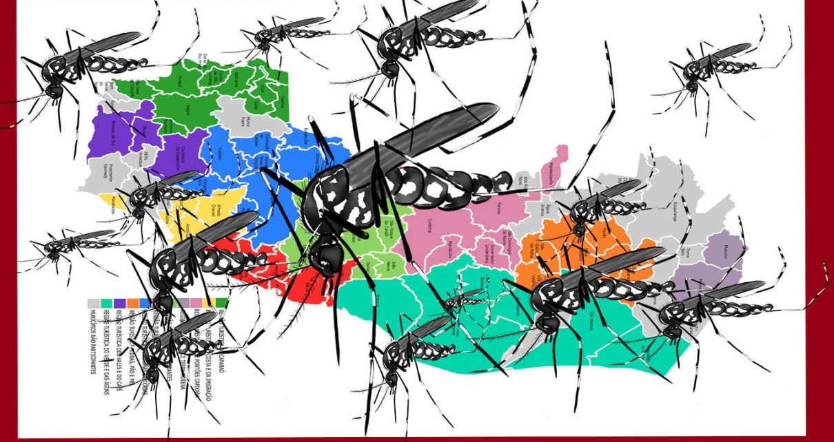 Espírito Santo 1,9 mil escolas públicas participam de mobilização nacional contra a dengue fotos SECOM ES e pixabay