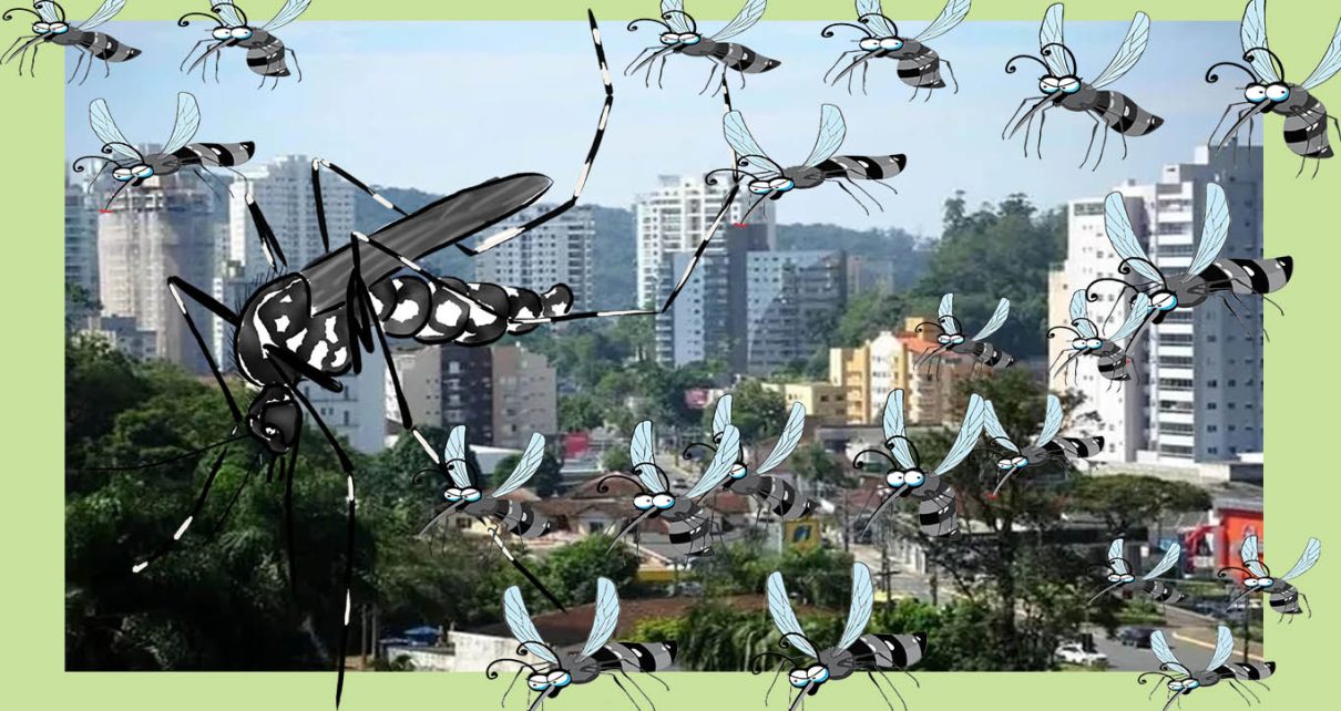 Pai e filha internados por dengue morrem com 18 minutos de diferença em Joinville fotos SECOM JOINVILE E PIXABAY.
