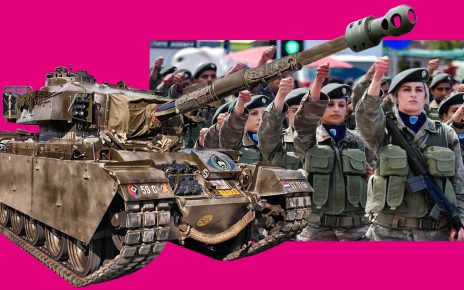 Dinamarca vê deterioração da segurança europeia e recrutará mulheres para o serviço militar fotos pixabay