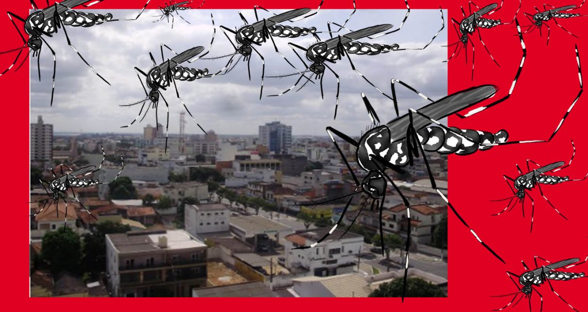 Linhares registra mais de 3 mil casos confirmados de dengue fotos pixabay e skyscrapercity