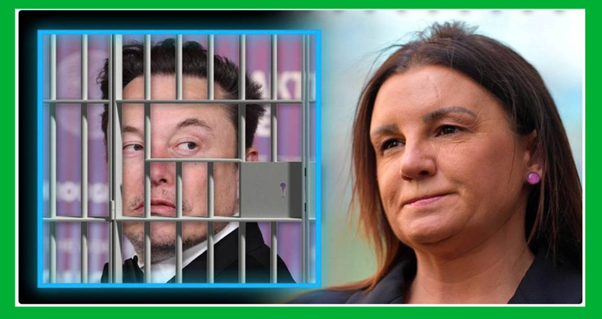 Senador australiano pede prisão de Elon Musk por defender a liberdade de expressão foto infowars
