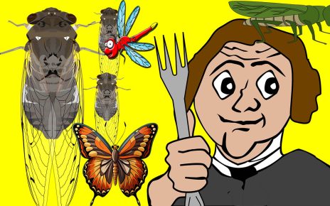 Raro surgimento de cigarras, 'oportunidade' perfeita para comer insetos, aconselha Axios - VEJA QUEM ESTÁ POR TRÁS DISSO