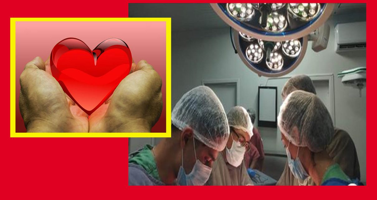 Após morte cerebral, órgãos de caminhoneiro de 34 anos são captados; ele teve um mal súbito foto r yeprodução de tela via fonte e pixabay