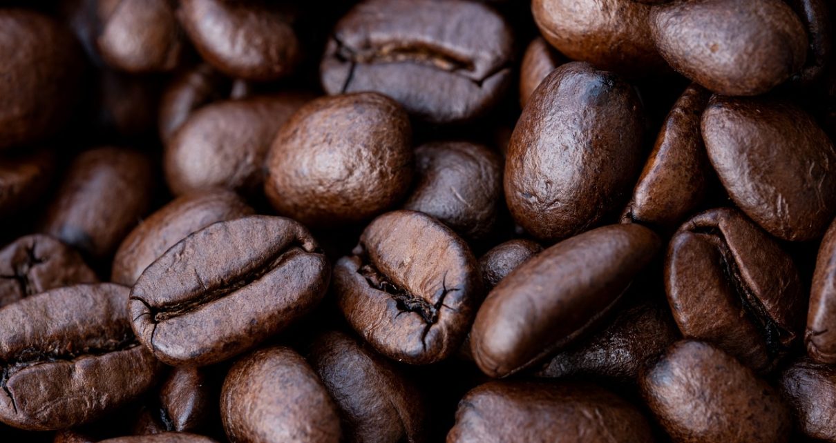 PIMENTA-DO-REINO - Preço do quilo atinge R$ 34,00; Apesar da alta nos preços, clima afeta produção capixaba, até do café - EMTENDA