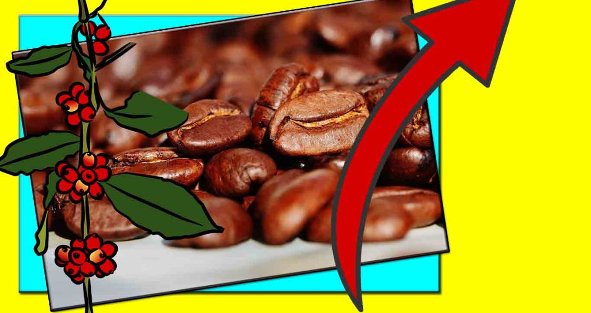 CAFÉ - Depois de 21 anos, Espírito Santo supera recorde histórico de exportações de café fotos pixabay