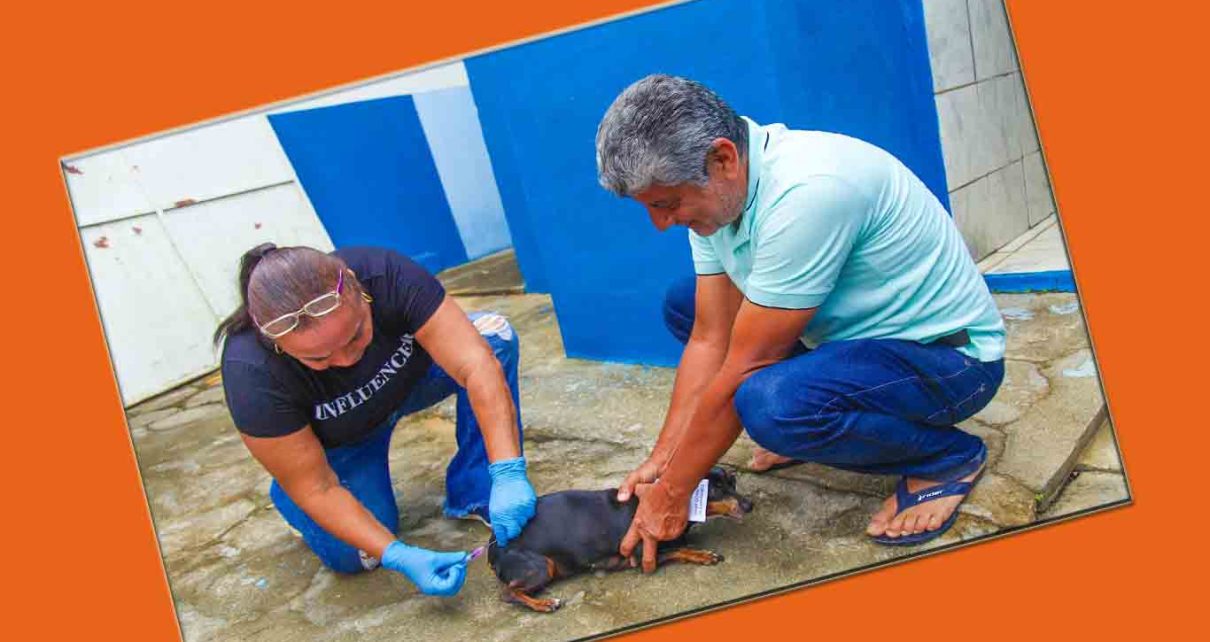 EM LINHARES (ES) Vacinação antirrábica segue pelas comunidades do interior FOTO SECOM LINHARES