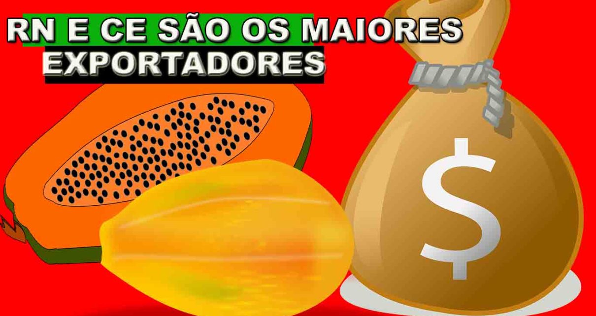 Exportações de mamão no Espírito Santo crescem 37,4% no primeiro semestre FOTOS PIXABAY