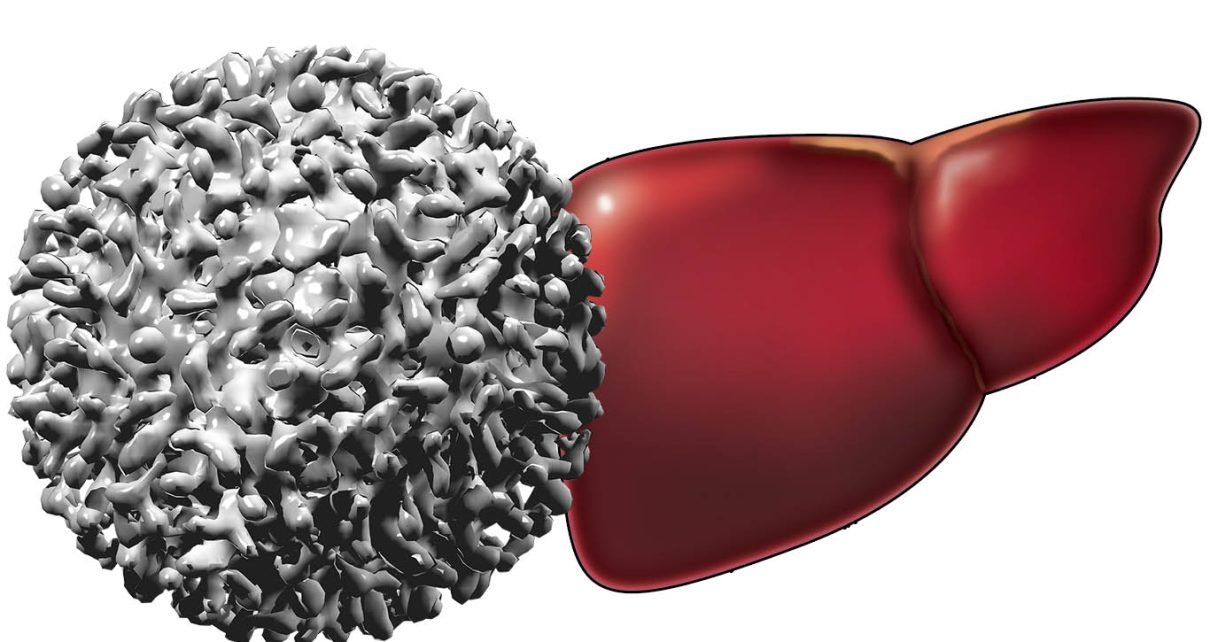 Vacinas contra a Covid supostamente desencadeiam hepatite — Estudos de casos - ENTENDA