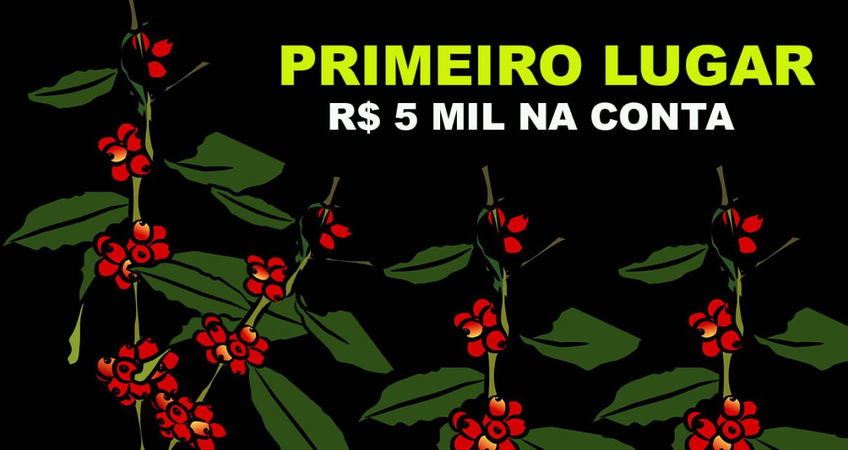 CAFÉ - Em linhares (ES) Prazo para se inscrever no 7º Concurso da Qualidade do Café Conilon termina nesta sexta-feira, 06