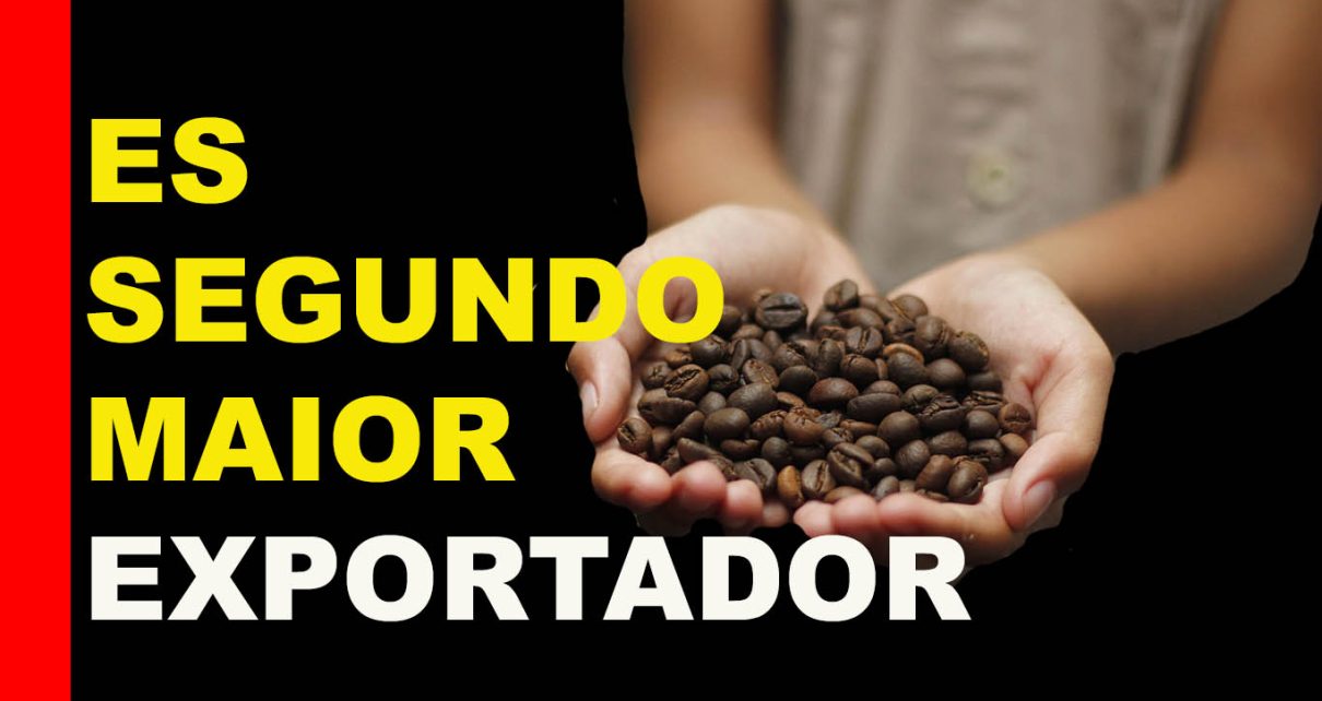 Preço do café estimula expansão de novas áreas de plantio no Espírito Santo