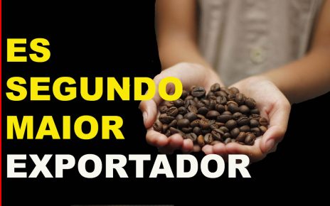 Preço do café estimula expansão de novas áreas de plantio no Espírito Santo