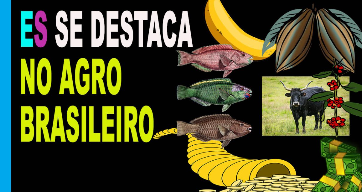 AGRONEGÓCIO -18 EMPRESAS capixabas são reconhecidas por atuação no agronegócio em votação da Cedagro