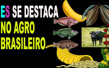 AGRONEGÓCIO -18 EMPRESAS capixabas são reconhecidas por atuação no agronegócio em votação da Cedagro