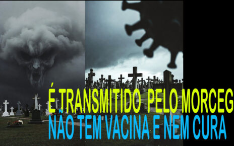 VÍRUS MORTAL – Índia toma medidas para conter surto do vírus Nipah; mais de 100 pessoas estão em quarentena