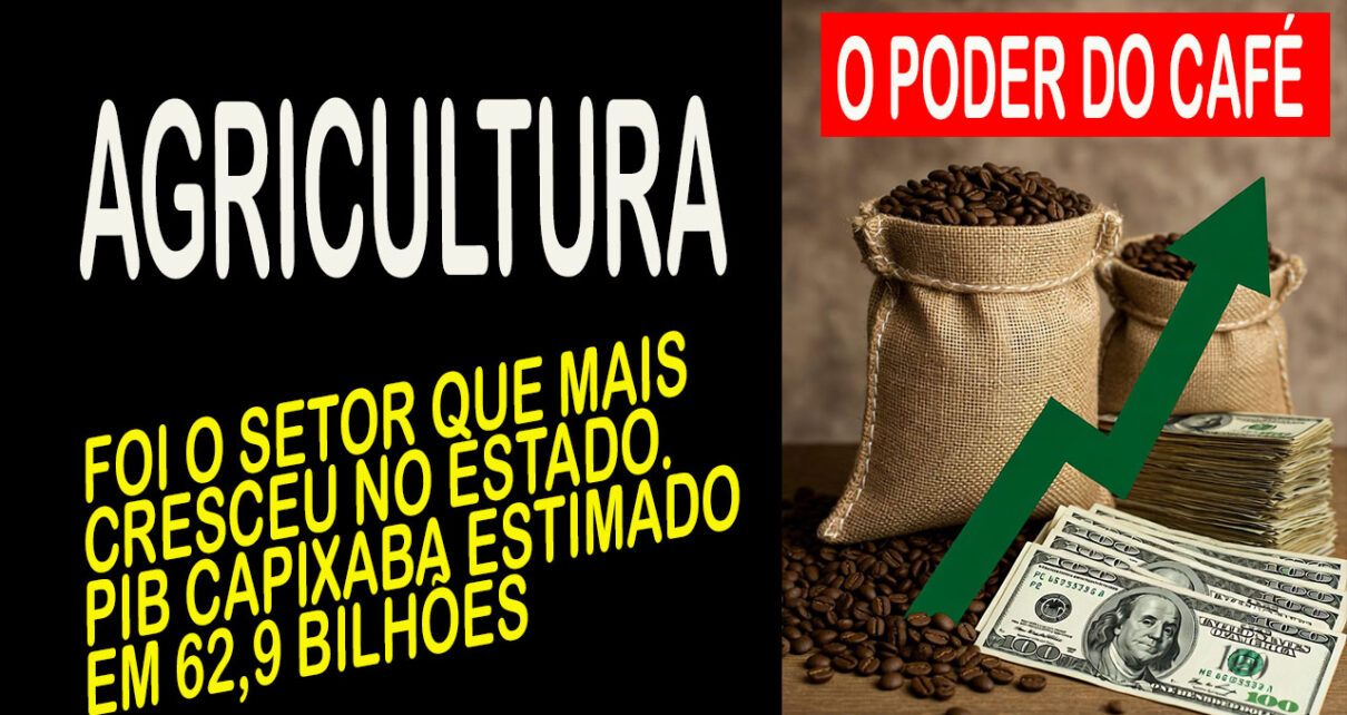 SAFRA conilon puxa alta do PIB do Espírito Santo em 2025