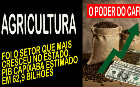 SAFRA conilon puxa alta do PIB do Espírito Santo em 2025