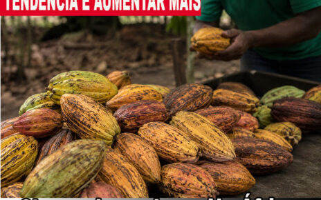 CACAU – PREÇO dispara e produtores brasileiros podem ganhar espaço - VEJA O MOTIVO - SAIBA MAIS E COMPARTILHE - https://radargeral.com/separacao-canada-com-mais-de-300-mil-assinaturas-coletadas-separatistas-de-alberta-pedem-um-referendo-enquanto-a-provincia-rica-em-petroleo-se-prepara-para-deixar-o-canada-maioria-querem-serem/
