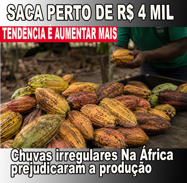 CACAU – PREÇO dispara e produtores brasileiros podem ganhar espaço - VEJA O MOTIVO - SAIBA MAIS E COMPARTILHE - https://radargeral.com/separacao-canada-com-mais-de-300-mil-assinaturas-coletadas-separatistas-de-alberta-pedem-um-referendo-enquanto-a-provincia-rica-em-petroleo-se-prepara-para-deixar-o-canada-maioria-querem-serem/