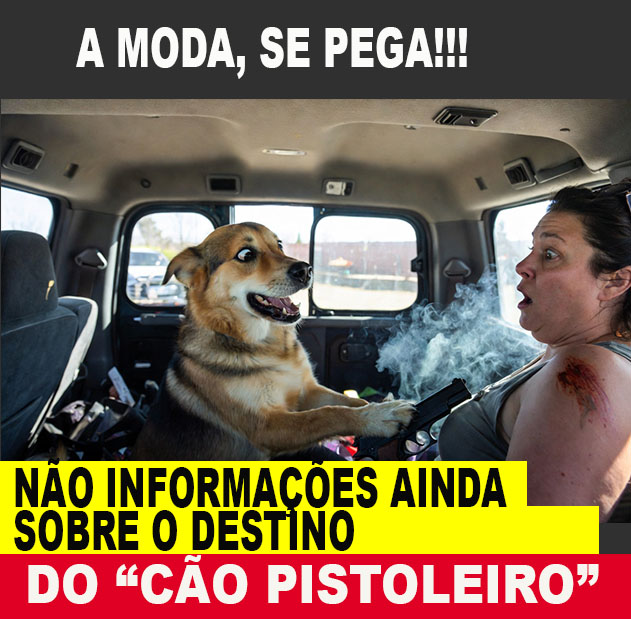 Cachorro atira em mulher com espingarda durante parada em posto de gasolina FOTO ILUSTRATIVA GROCK