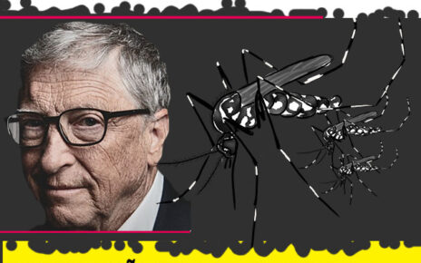 o Google planeja liberar dezenas de milhões de mosquitos em dois estados para "impedir" a disseminação de diversas doenças perigosas