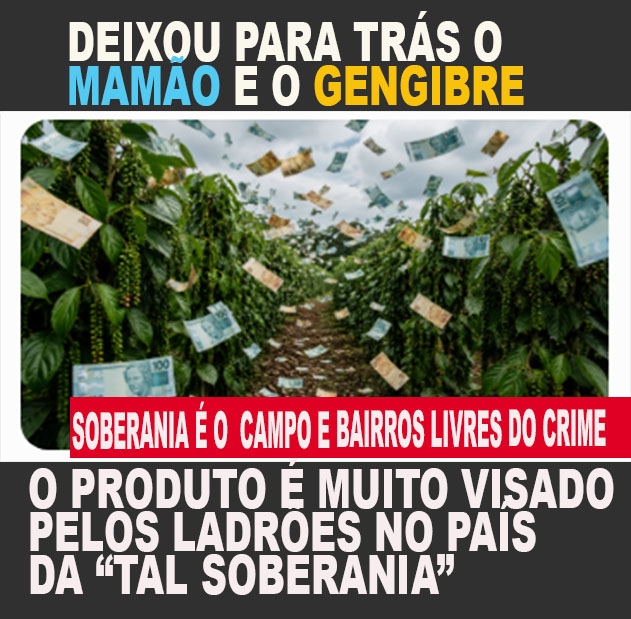 PIMENTA-DO-REINO MELHORA PREÇOS E BATE RECORDE FOTO GROCK