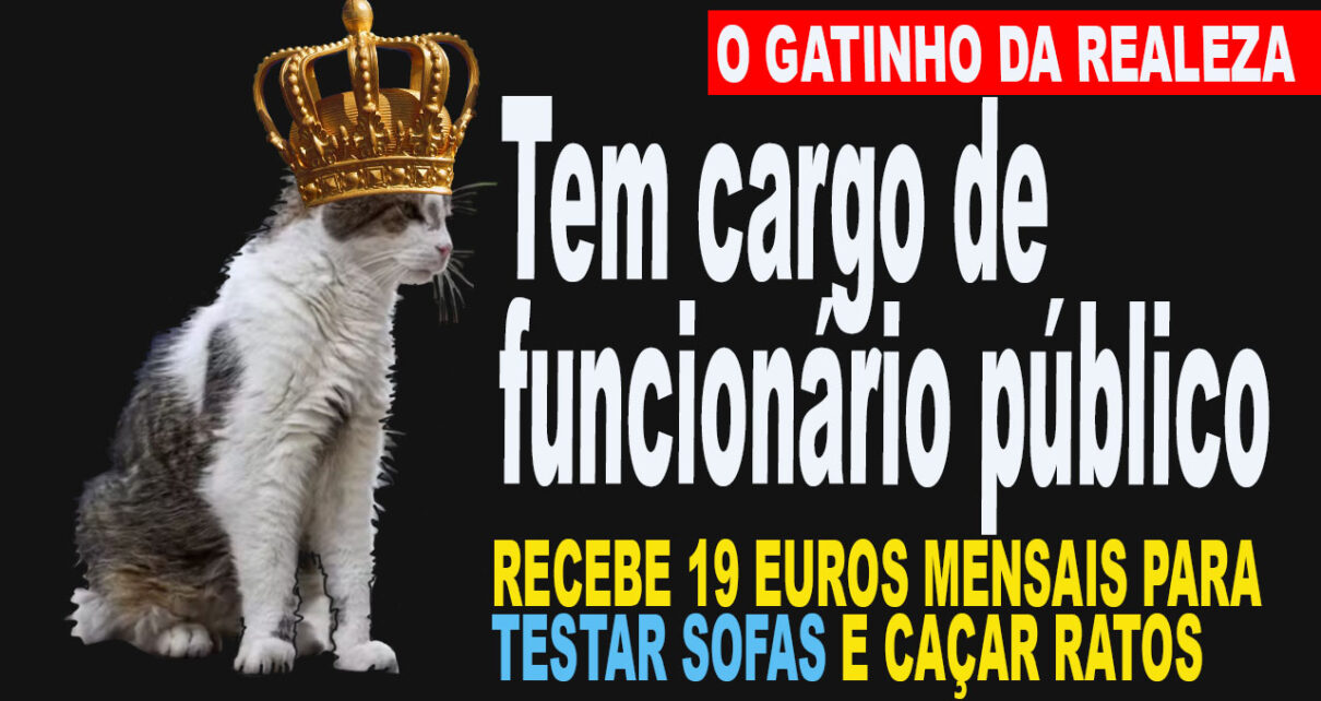 LARRY, gato oficial da residência do premiê do Reino Unido, já é recordista de tutores no cargo; conheça o 'primeiro-felino'