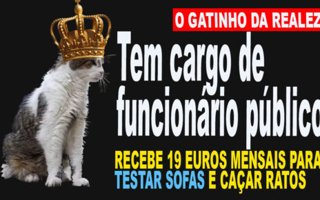 LARRY, gato oficial da residência do premiê do Reino Unido, já é recordista de tutores no cargo; conheça o 'primeiro-felino'