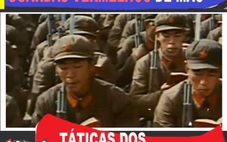 Os Socialistas Democráticos da América (DSA) estão criando sua própria "Guarda Vermelha" – uma rede de milícias chamada "Coelhos Vermelhos".